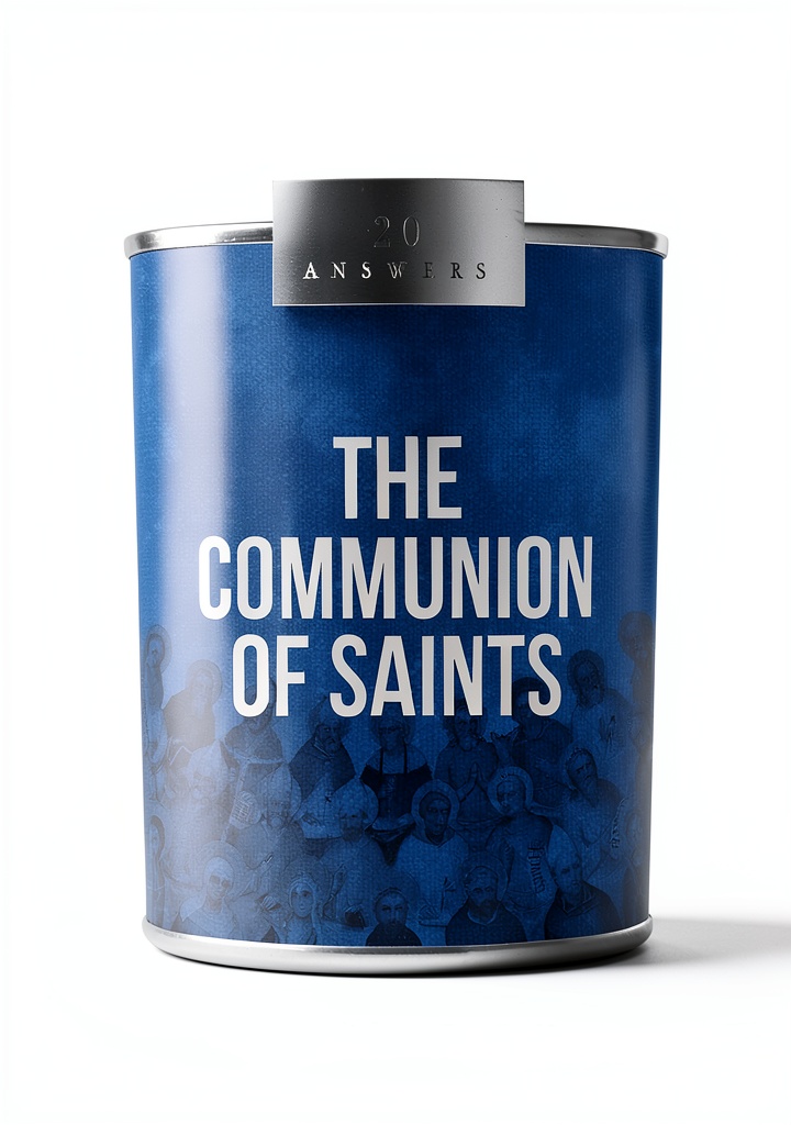 'Catholic Answers Kindle book cover showing religious themes'
