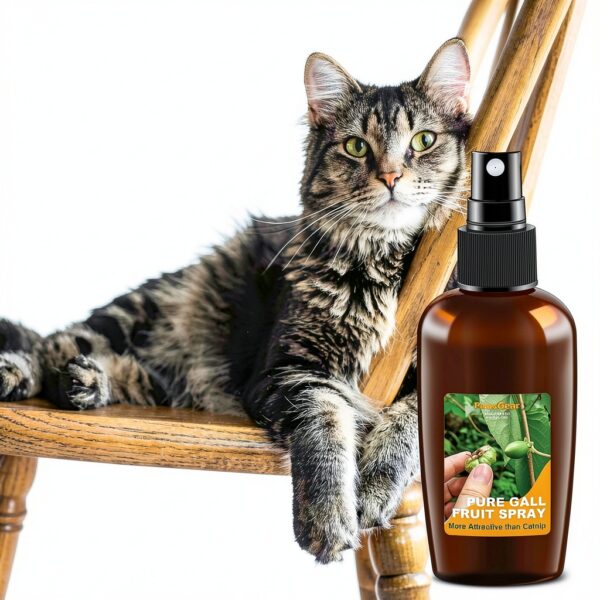 PawsGear Cat Training Spray Silvervine Extract Indoor Cats-1