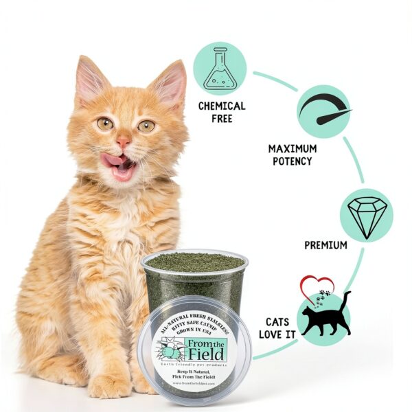 From The Field Catnip Fine Ground Cut Pet Supplies-1