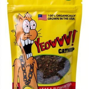 DuckyWorld Catnip for Cats Premium Leaf and Flower Top Blend-0