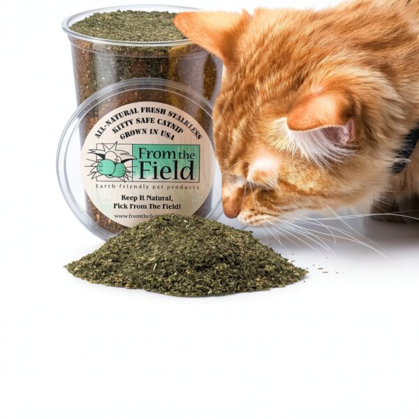 From The Field Catnip Fine Ground Cut Pet Supplies-4