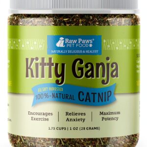 Catnip Raw Paws Natural Fresh Catnip for Cats-0
