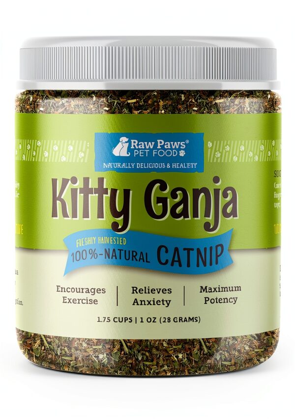 Catnip Raw Paws Natural Fresh Catnip for Cats-0