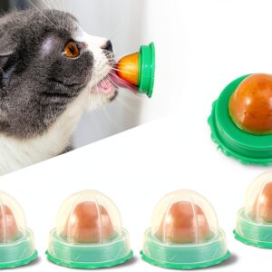 Cat Treat Ball Balacoo Interactive Lickable Toy-0