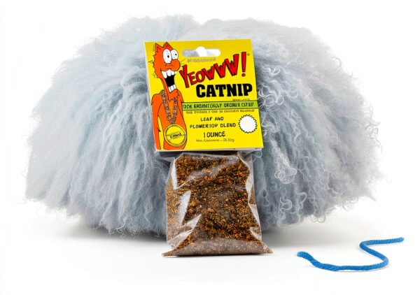 DuckyWorld Catnip for Cats Premium Leaf and Flower Top Blend-2