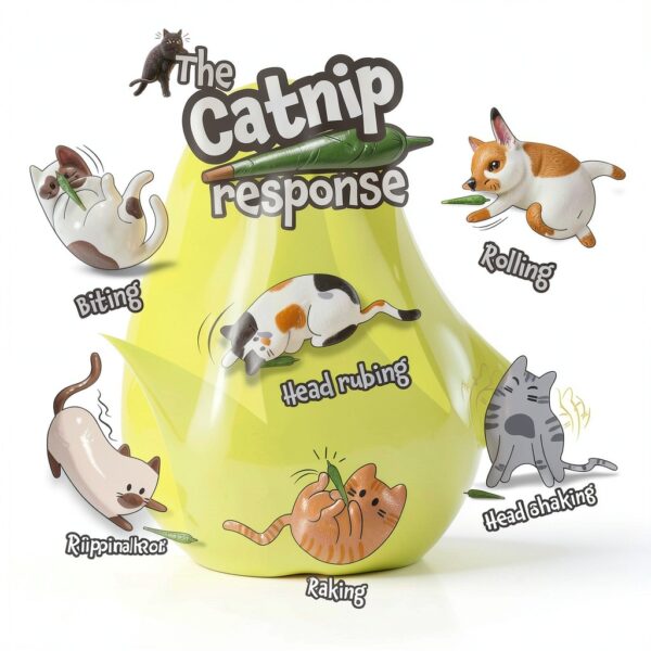 Catnip by Lit Labs Organic Airtight Tin Jar-6