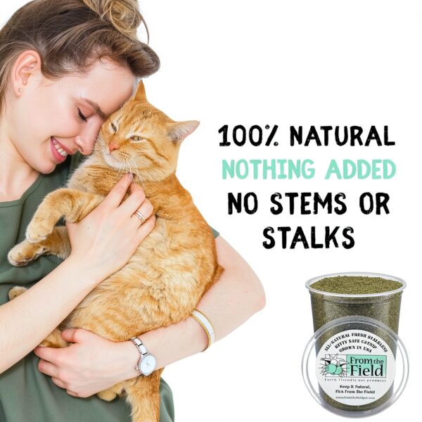 Catnip From The Field Green 3.5 Oz Medium Pack Fresh Potent Non Toxic-3