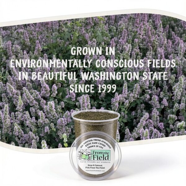 Catnip From The Field 3.5 Oz Medium Green Fresh Potent Non‑Toxic-5