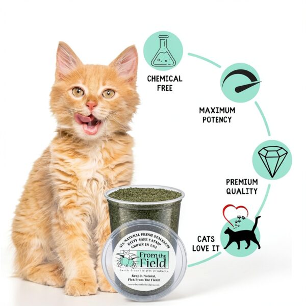 Catnip Fresh Potent From The Field Green Multiple Sizes 1 to 10 OZ-1