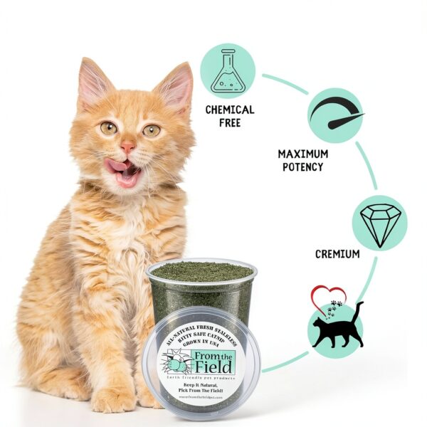 Catnip From The Field 3.5 Oz Medium Green Fresh Potent Non‑Toxic-2